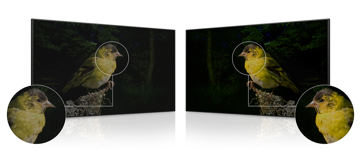 A comparison of images showing black level performance between Conventional IPS Black and IPS Black 2.0. The same bird photo appears with deeper and more distinct blacks on IPS Black 2.0.