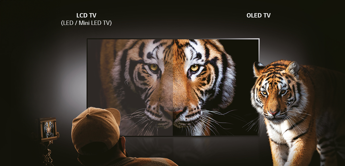 OLED TV delivering clearer and true-to-life colors compared to LCD TV