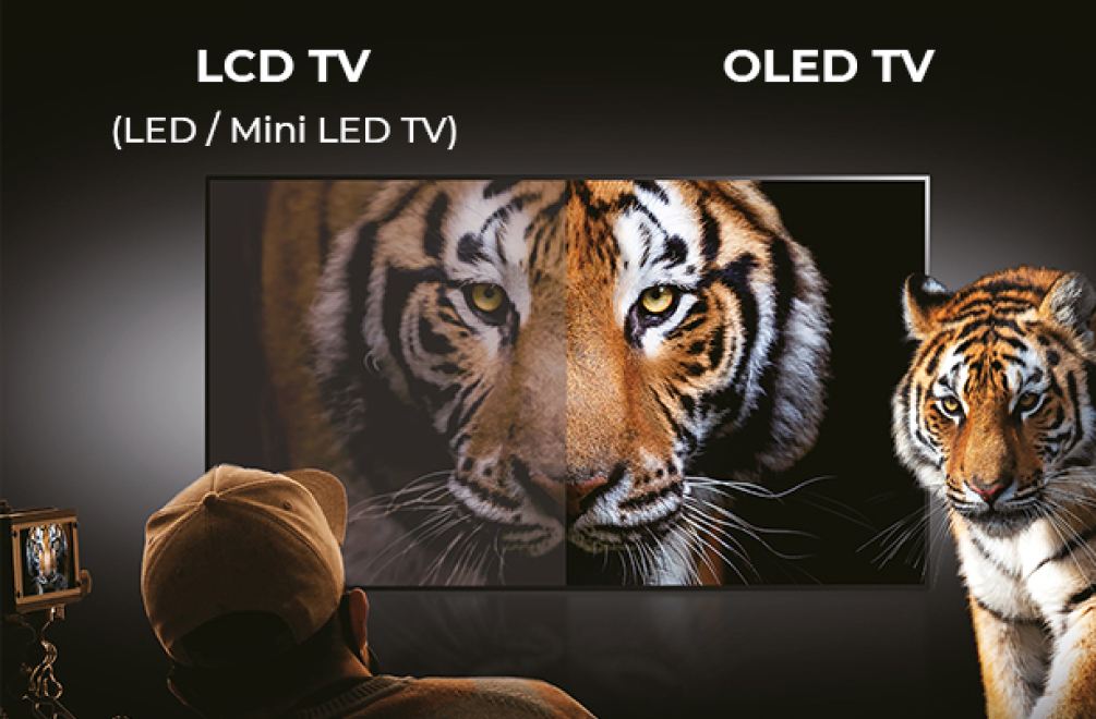 한 개의 TV에 왼쪽은 LCD, 오른쪽은 OLED 패널이 있고, 화면의 호랑이가 OLED 쪽에서 훨씬 선명하게 표현되고 있으며, 오른쪽에 실제 호랑이 한 마리가 서 있다.