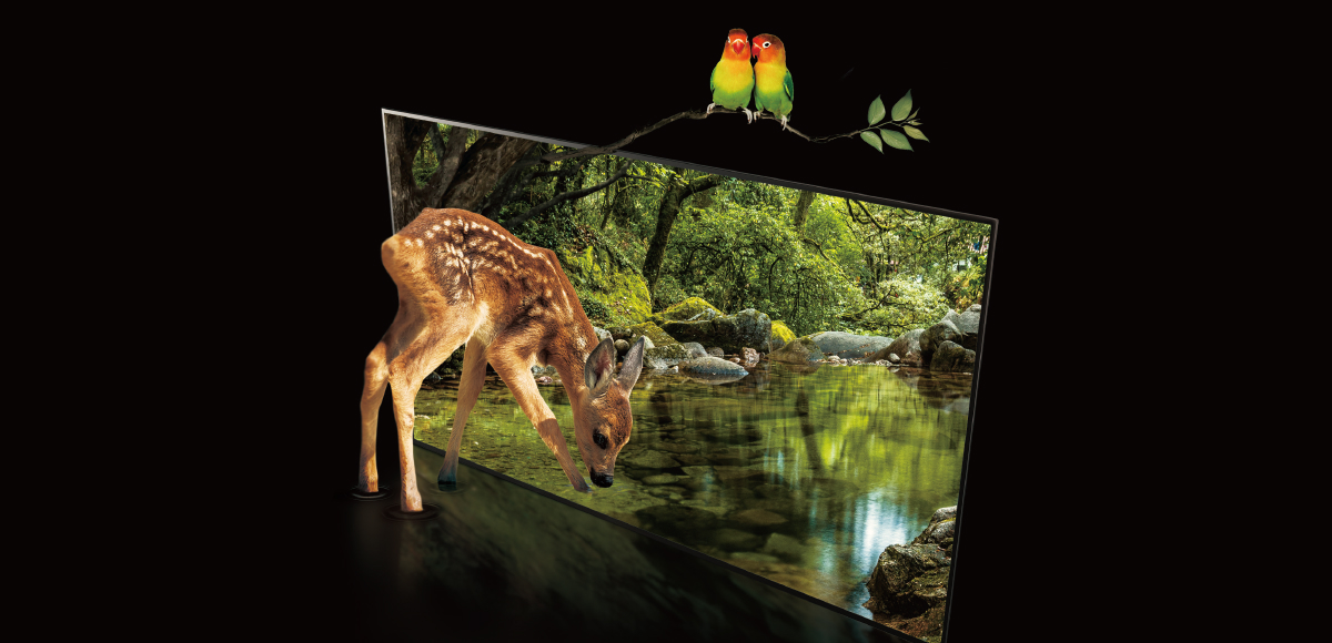 OLED TV delivering clearer and true-to-life colors compared to LCD TV