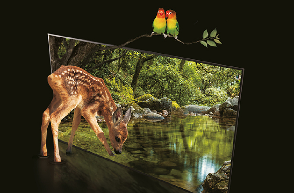 꽃사슴 한 마리가 푸릇한 숲을 보여주는 OLED TV로 돌진하여 머리를 박았고, 그 위의 나뭇가지에 무지개빛 새 두마리가 앉아있다.