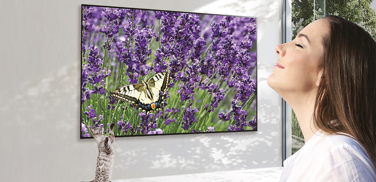 OLED TV delivering clearer and true-to-life colors compared to LCD TV