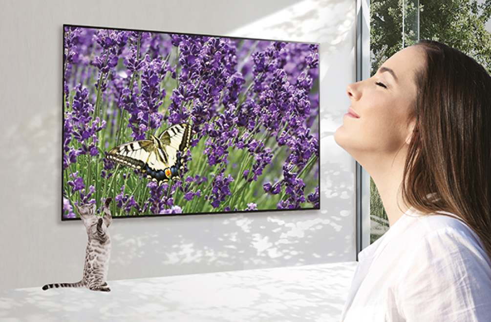 보라빛의 꽃과 풀, 그리고 호랑나비 한마리가 TV에서 보여지고 있고, 한 여자가 TV 앞에서 향기를 맡고 있으며, TV 밑의 아기고양이는 화면에 나오는 호랑나비를 잡으려 하고 있다.