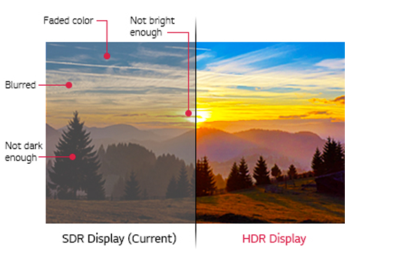 실제와 같은 선명함을 표현하는 HDR