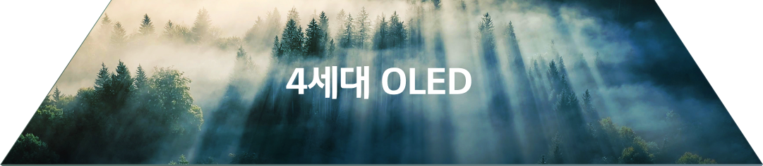 안개가 낀 숲 사이로 햇빛이 내려오는 풍경 이미지가 4세대 OLED 패널에 선명하게 보이고 있다.